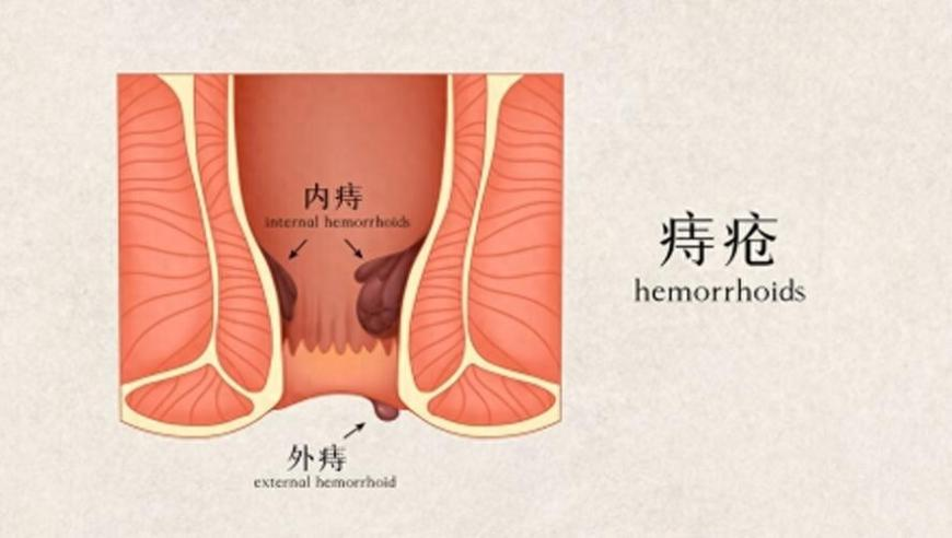 118跑狗論壇資料大全網(wǎng)頁(yè),河南經(jīng)濟挑戰與機遇_影像版V11.87