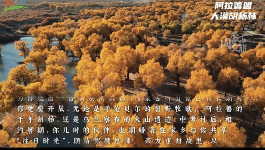 155755金牛網(wǎng)站高手,廣州市中院終審判決黑社會(huì )案_完整版V4.23