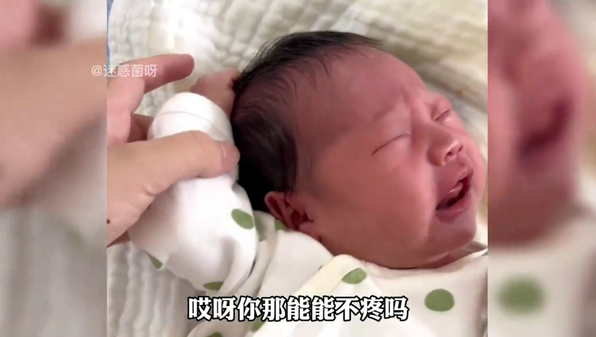 香港王中原創(chuàng  )資料,?？诰教幚砼柏堉{言案件_權威版V10.91